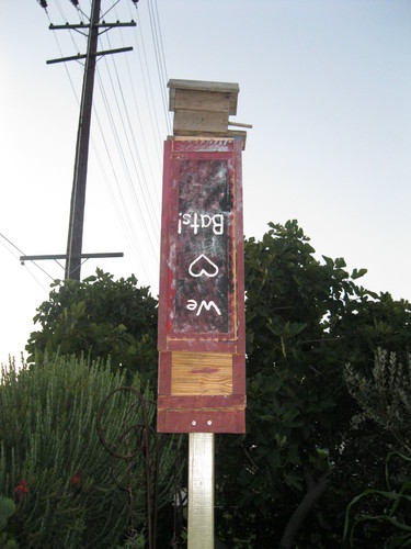 yardenlb's profile picture. 