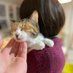 保護猫🍀ロロちゃん🐈ルルちゃん🐈⬛ (@catex09) Twitter profile photo 保護猫🍀ロロちゃん🐈ルルちゃん🐈⬛ (@catex09) Twitter profile photo