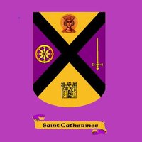 St Catherine's Ladies Football (@stcatherineslgf) 's Twitter Profile Photo