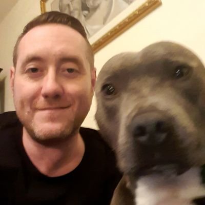 Football journalist in Northern Ireland. Servant to Arlo 🐶, a Blue Staffordshire Bull Terrier and a lover of curry and beer... oh, and green tea