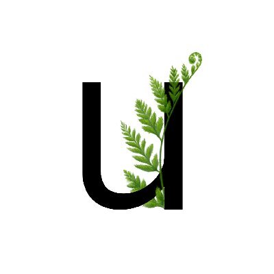 unfurl_link's profile picture. Explore URLs using a building block approach to understand all they contain. #opensource #Python #DFIR #OSINT