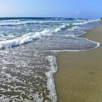 Coastal Studies Lab @ FAU(@FAU_Coastal) 's Twitter Profile Photo