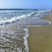 Coastal Studies Lab @ FAU (@fau_coastal) Twitter profile photo Coastal Studies Lab @ FAU (@fau_coastal) Twitter profile photo