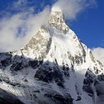 MaxColl69009345's profile picture. 