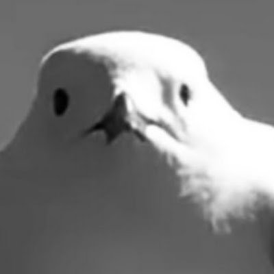 luca_e187's profile picture. 🅿️🅿️🅿️