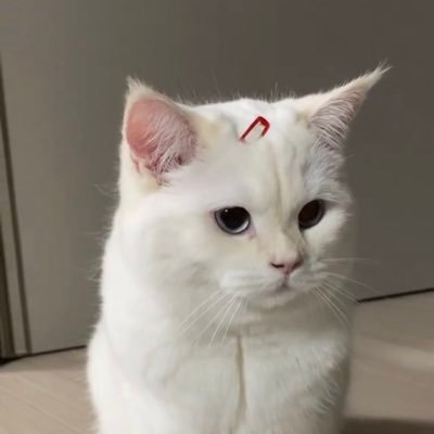 bbitchjyy's profile picture. Do not save🚫