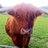 jonniec81's profile image