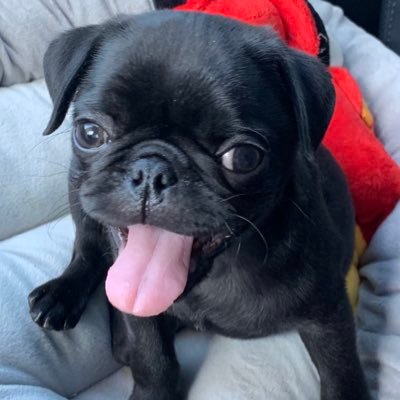 ericbwinter's profile picture. Dad, scientist, businessman, biotech professional, world traveler (47 countries 49 states), tenor, masters athlete.