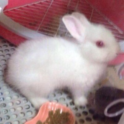 熊本でウーバーイーツはじめてみました、基本的に全受け、ありありでやってます。可愛い名前ですがおっさんです。よろしくお願いします。