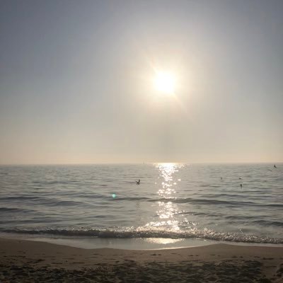 대전 유성 라인 efhanjun2