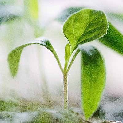I write about emerging technologies, innovations and companies in climate tech and clean tech