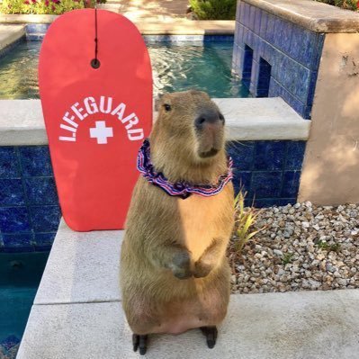 spreadlove562's profile picture. Let everything go, see what stays back. That’s yours.