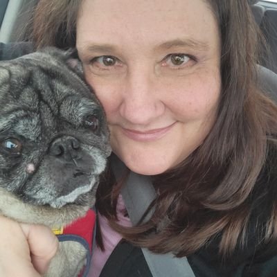 PugErnie1's profile picture. 