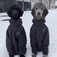 sge (@sgesxo) 's Twitter Profile Photo