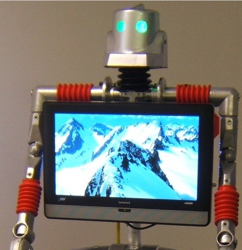 Building and wrangling character and video robots for police, fire, museums and businesses.