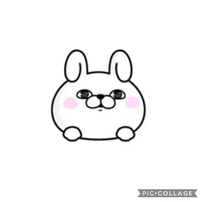 kinu72233176's profile picture. よろしくお願いしまーす。