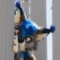 eon (@eonthecat) 's Twitter Profile Photo eon (@eonthecat) 's Twitter Profile Photo