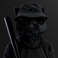 8Degen (@8degen) 's Twitter Profile
