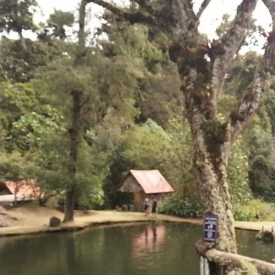 MesenKarla's profile picture. Con Dios siendo mi fuerza, y mi mayor bendición mi familia, para adelante en la vida.
Y definitivamente enamorada del fútbol...