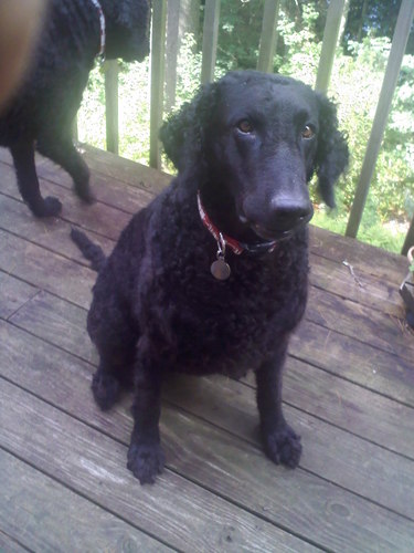 mwally99's profile picture. 