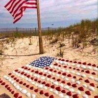 Lynne K Lynch (@lynneklynch1) 's Twitter Profile Photo