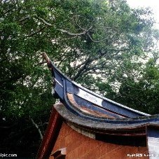 daciehel's profile picture. Michael 14