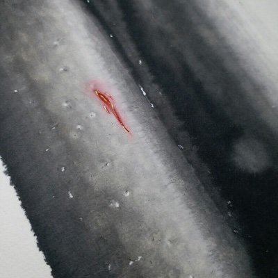 venndiagram6's profile picture. 