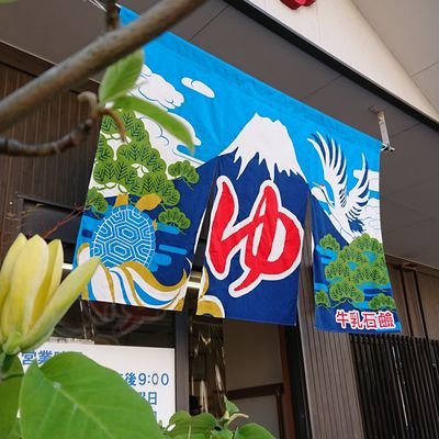 ikesuonsen Profile Picture