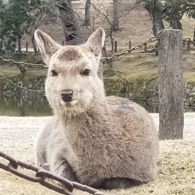 7_7Linda's profile picture. いい音楽と美味しい物で相当幸せ