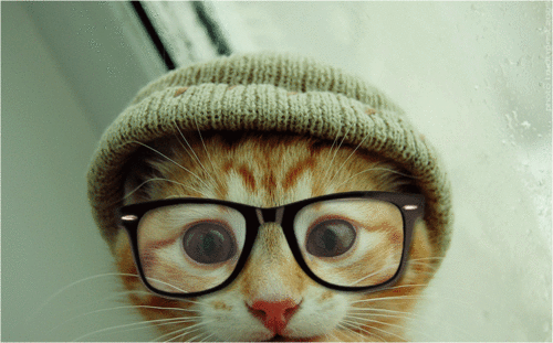 I Luv cute Pussy