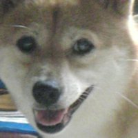 石河弘一 (@2yhdag5htp5fmu1) 's Twitter Profile Photo