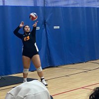 Alani taliloa (@ataliloa) 's Twitter Profile