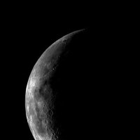 C21レイドボス出現情報 (非公式) (@c21_info) Twitter profile photo