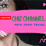 Chis Channel(@ChisChannelYT) 's Twitter Profile Photo