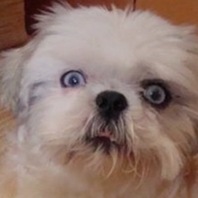 anra1958's profile picture. 