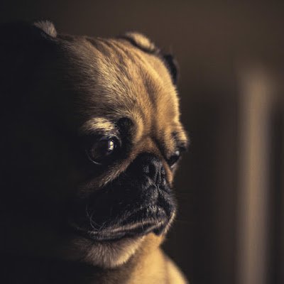 BreadKhan's profile picture. 