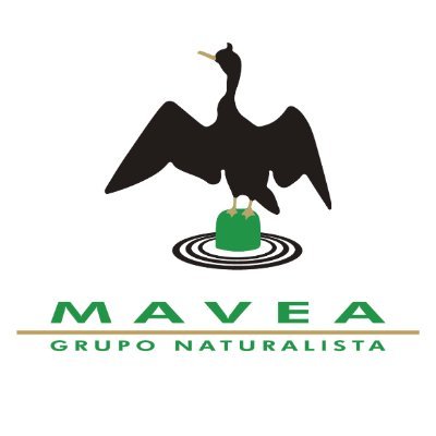 El Grupo Naturalista Mavea es una asociación que une a personas apasionadas por las aves y la naturaleza. Fundada en el año 1986.