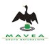 Grupo Naturalista Mavea (@gnmavea) Twitter profile photo Grupo Naturalista Mavea (@gnmavea) Twitter profile photo