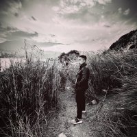Welly Wong (@wellywong88) 's Twitter Profile
