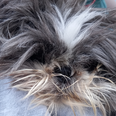 toniarz1956's profile picture. 