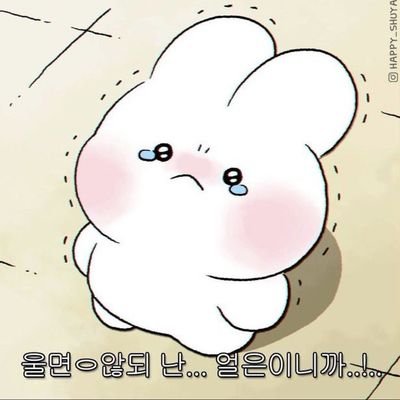 슈슈さんのプロフィール画像