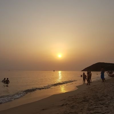 GiuliaSeddaMar's profile picture. 