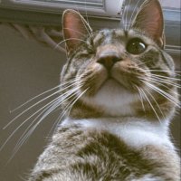 carmenchu (@ccarmenms) 's Twitter Profile