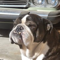Mrstupes (@mrstupes) 's Twitter Profile Photo Mrstupes (@mrstupes) 's Twitter Profile Photo