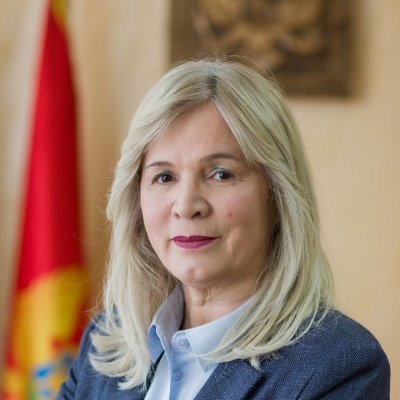 Professor at the University of Montenegro
President of Montenegrin Pan-European Union