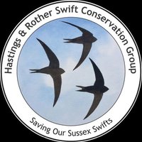 Hastings & Rother Swift Conservation Group(@HastingsSwifts) 's Twitter Profile Photo