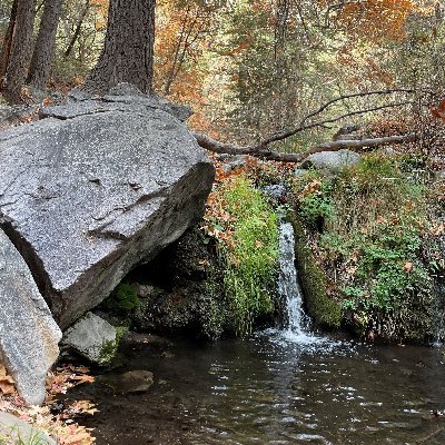 lexis_con_rizos's profile picture. aspiring Chicana environmental educator | Doris Duke Conservation Scholar | UArizona CO ’25