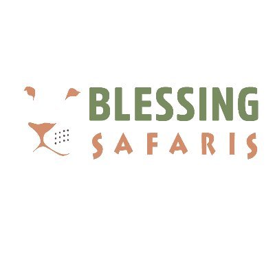 BlessingSafaris Profile Picture