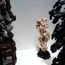 Jackie Henson-Dacey - @jhensondacey - Twitter