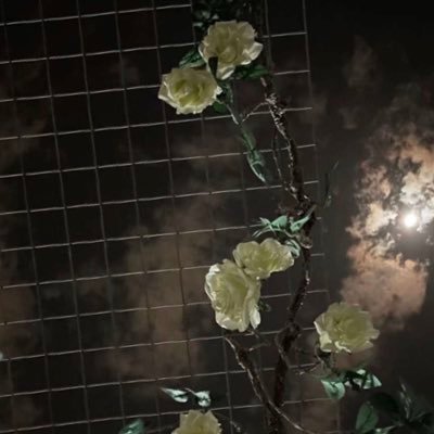 غامِضه مرّه ومرّه مثل نُور . .